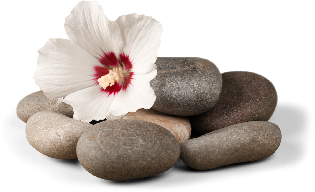 Stones and Flower